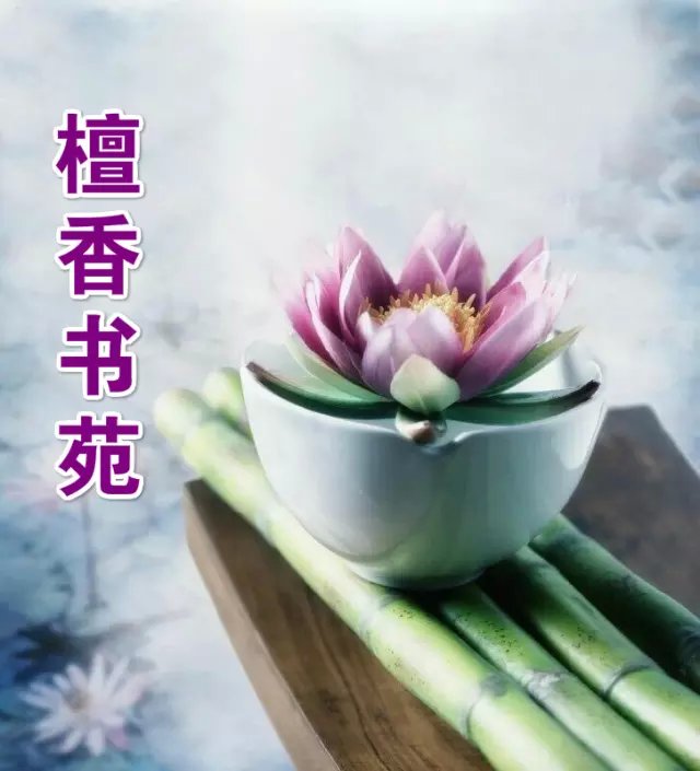 【檀香】永遠(yuǎn)定格在春天（散文）