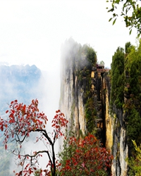 【賞析】鞠躬盡瘁愛江山，碧血丹心揚(yáng)英名