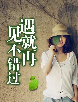 【柳岸】如果遇見，請(qǐng)不要錯(cuò)過（小說）