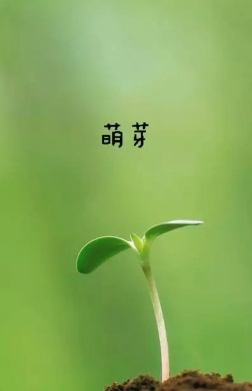 【江山·好聲音】【流年】時(shí)光書：萌芽記（散文）